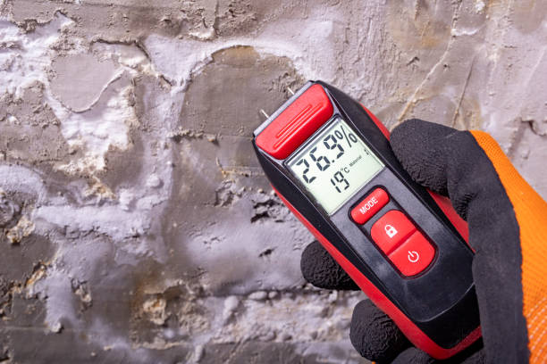 Best Toxic Mold Removal  in La Grange, IL